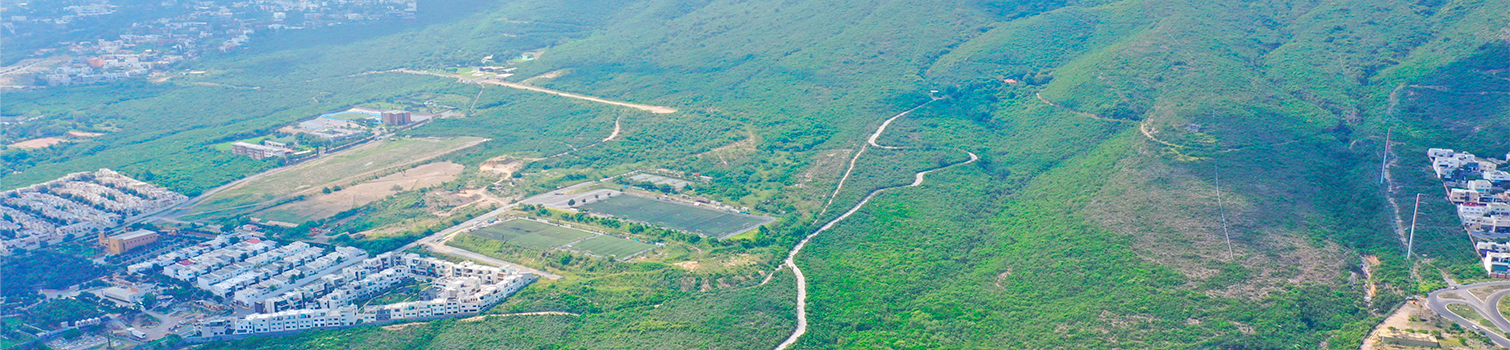 implang-vision-san-pedro