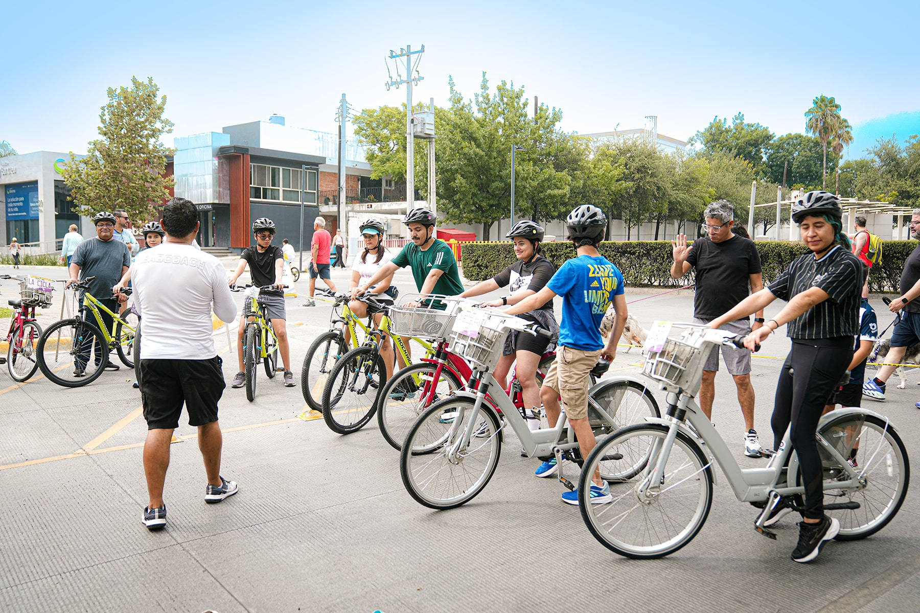 implang-historia-biociescuela
